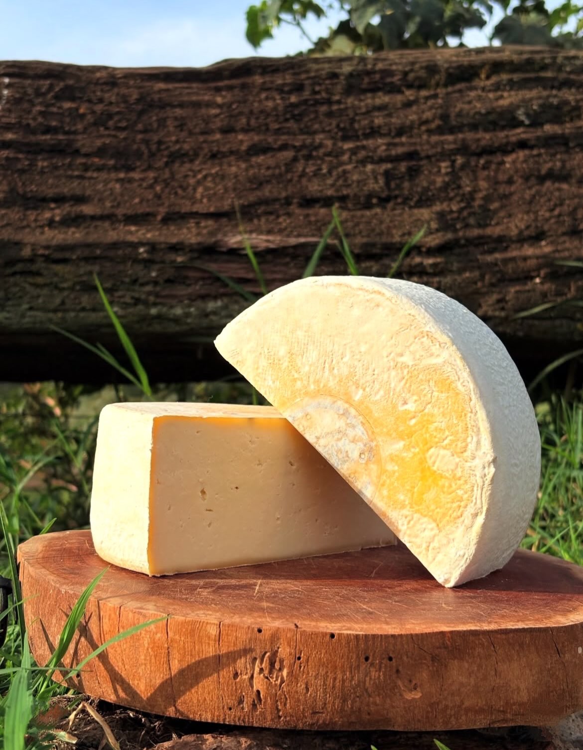 Queijo da Canastra com casca florida